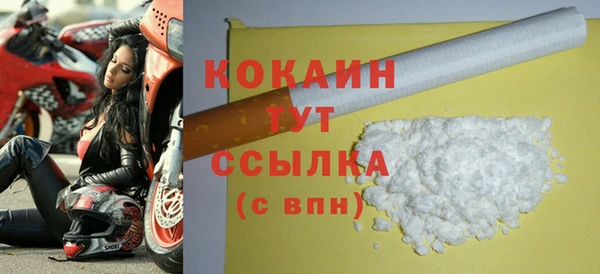 дживик Пересвет