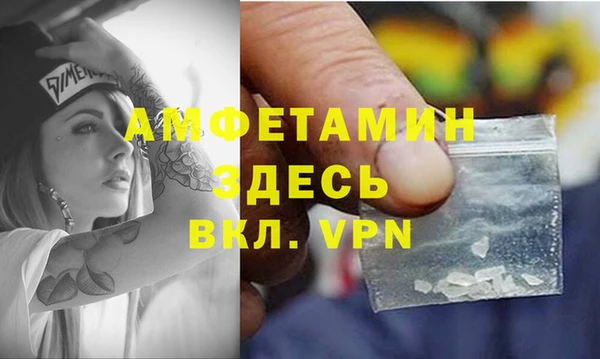 дживик Пересвет