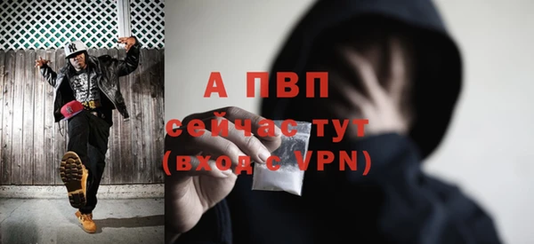 дживик Пересвет