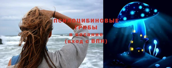 дживик Пересвет