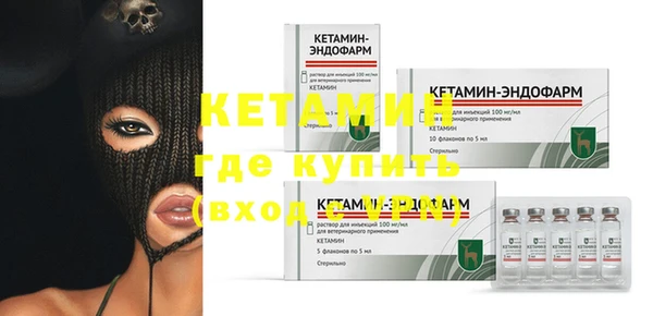 дживик Пересвет