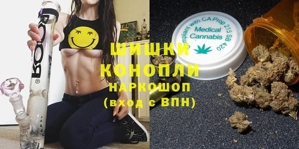 ПСИЛОЦИБИНОВЫЕ ГРИБЫ Пестово