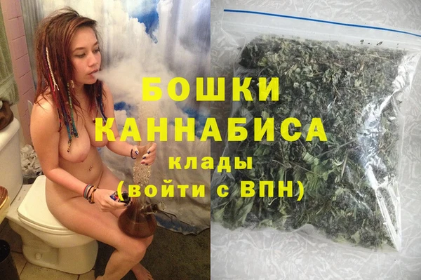 дживик Пересвет