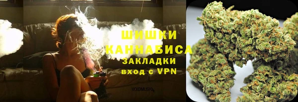 дживик Пересвет