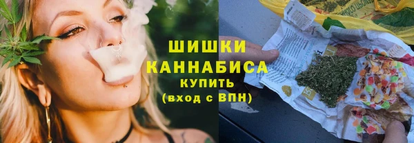 дживик Пересвет