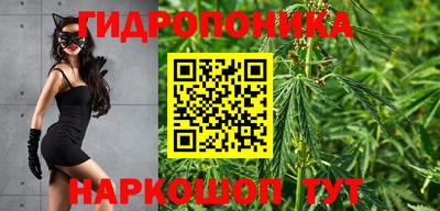 шишки Абинск