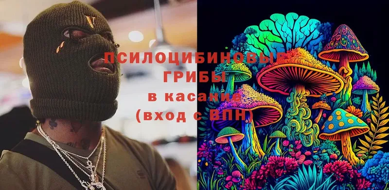 Галлюциногенные грибы Magic Shrooms  Александров 