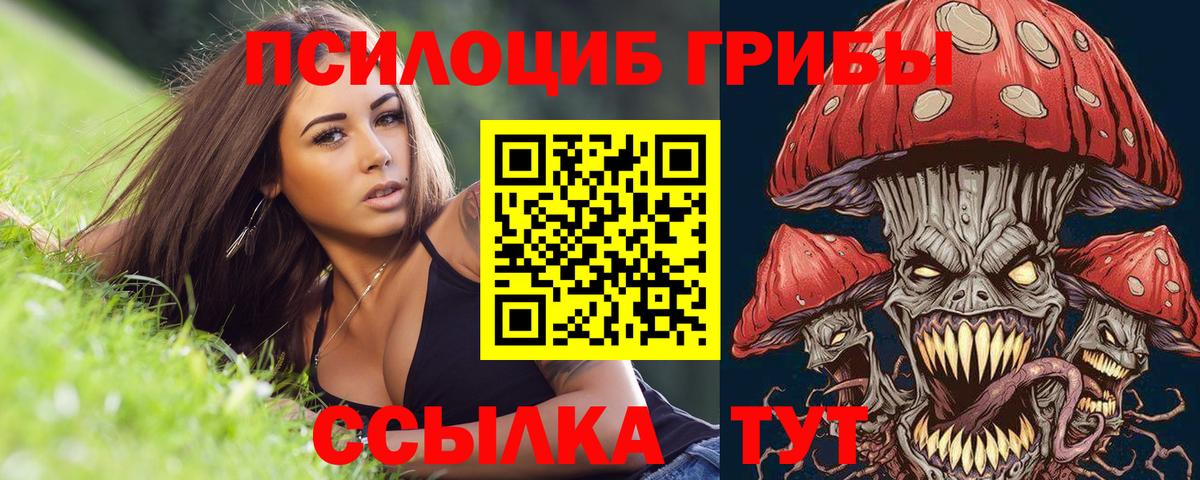 Галлюциногенные грибы мицелий  Александров  Галлюциногенные грибы Magic Shrooms 