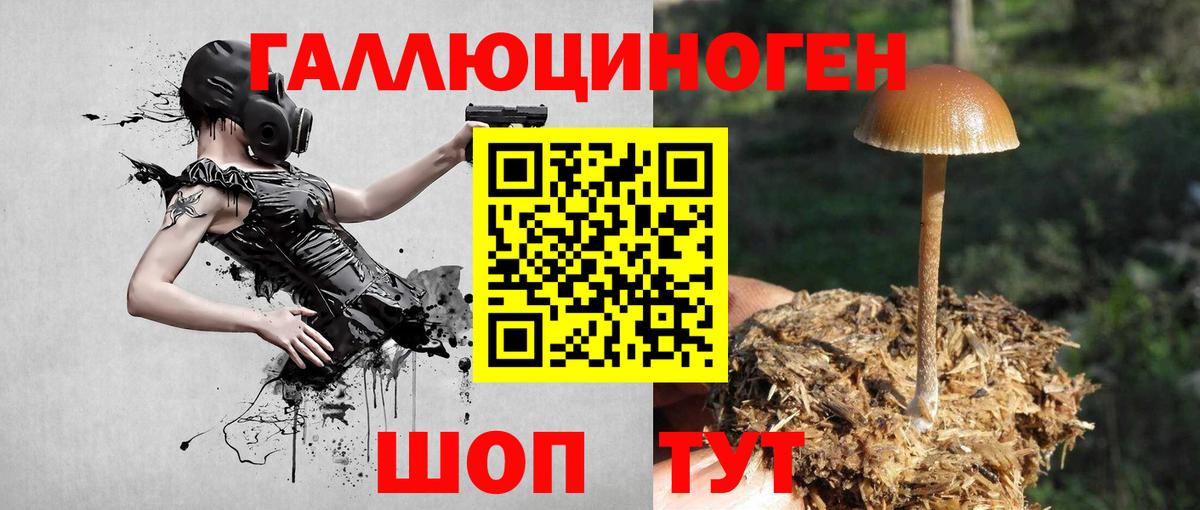 Конопля  Александров  Меф   Вход с VPN  Alpha-PVP СОЛЬ  