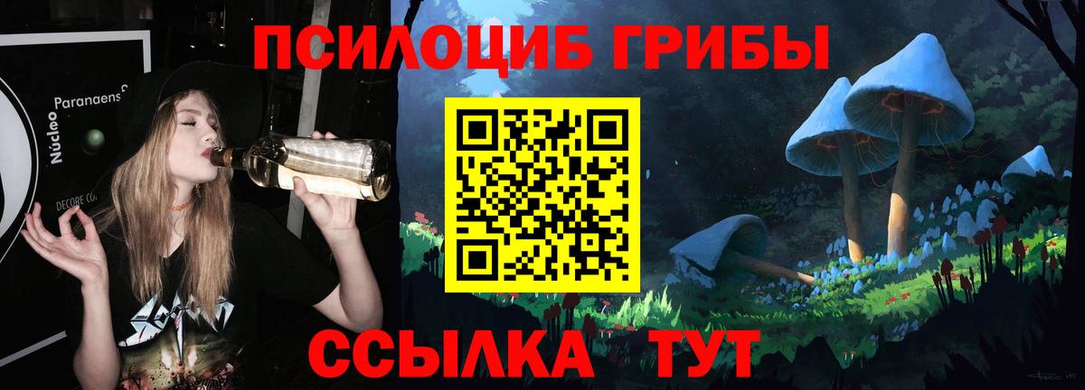 Галлюциногенные грибы мухоморы Александров
